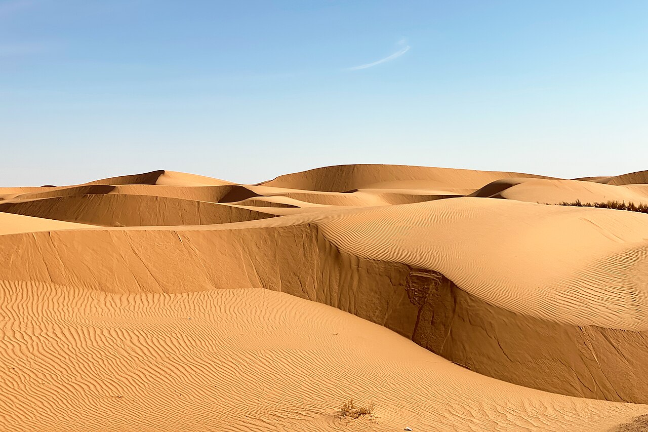 Sahara